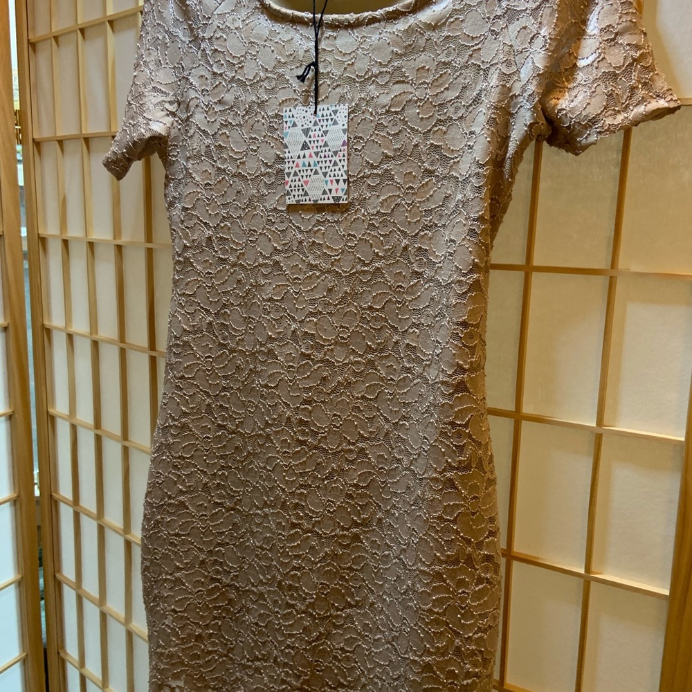 NWT PinkBlush Maternity dress/top